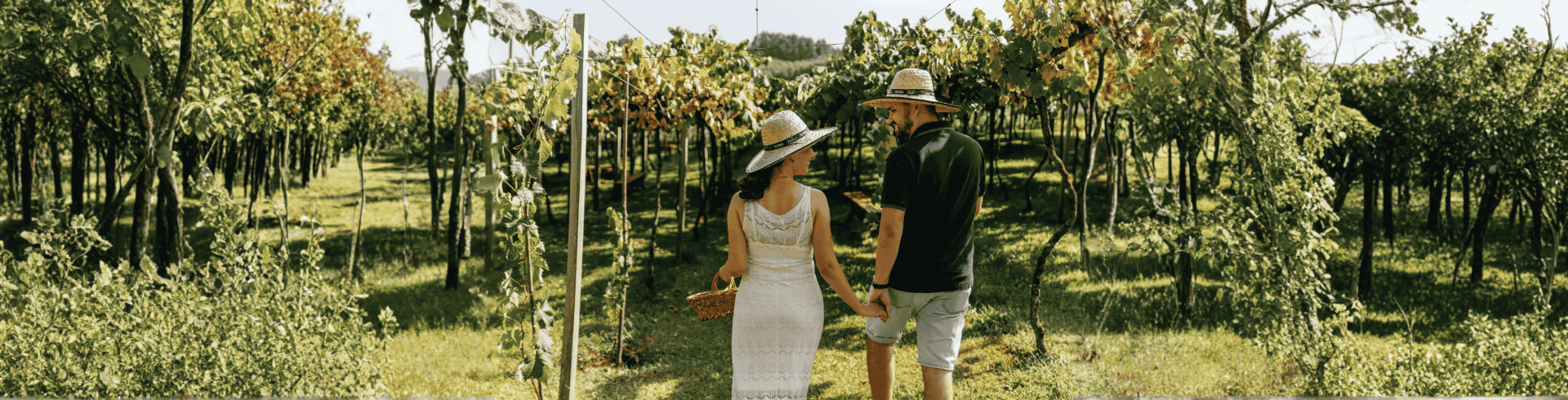 Bento Gon�alves - Fil�, Viva a It�lia